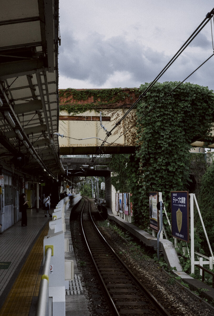 Ichigaya, Chiyoda, Tokyo, Japan, 2025, RICOH GR IIIx