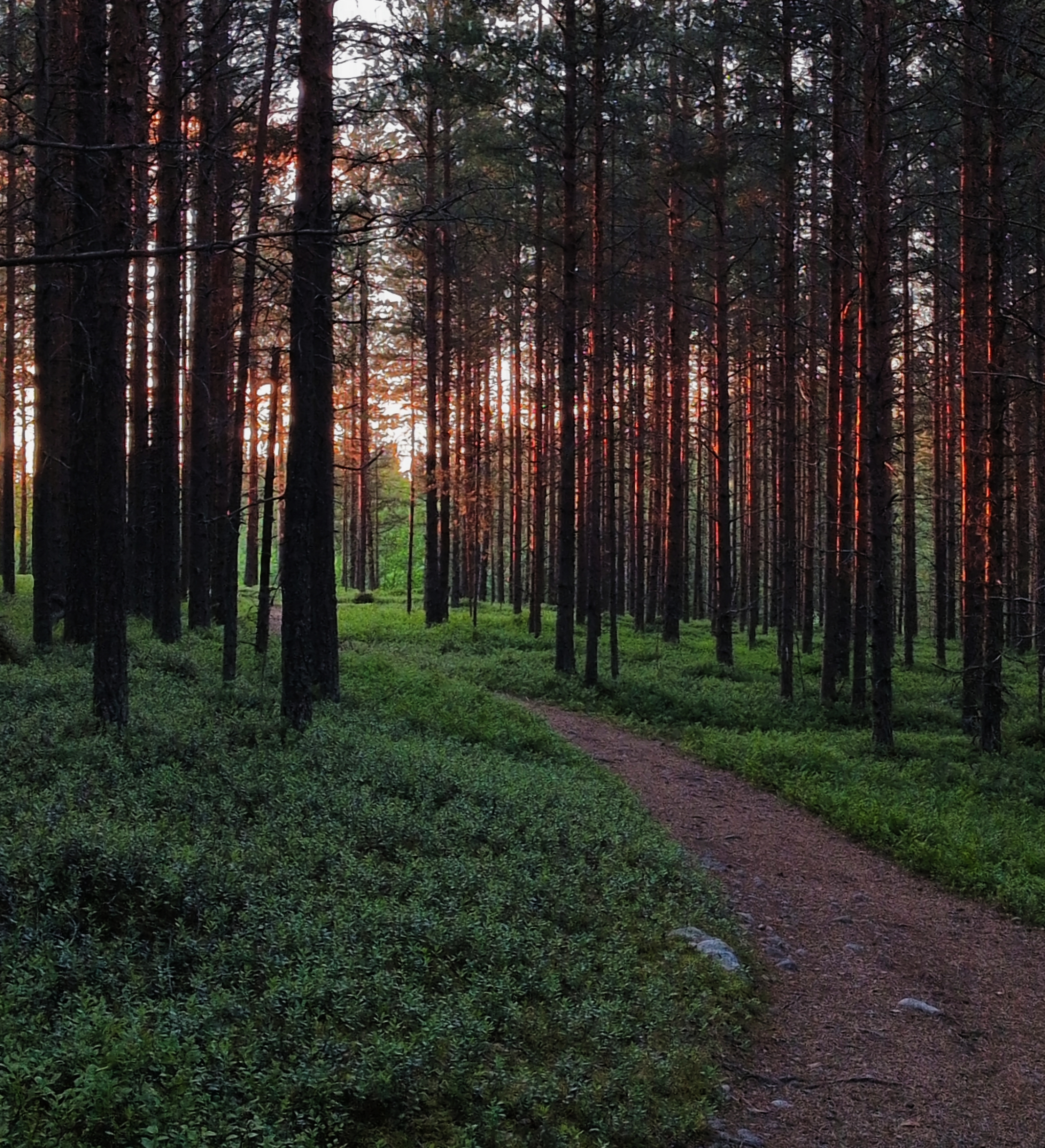 Piteå, Norrbotten, Sweden, 2026