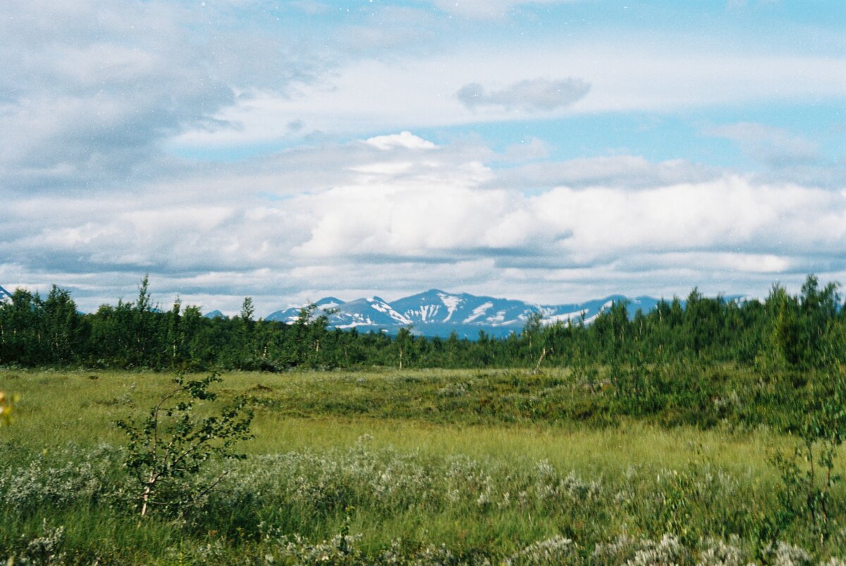 Arjeplog, Norrbotten, Sweden, 2020, Minolta SRT 101