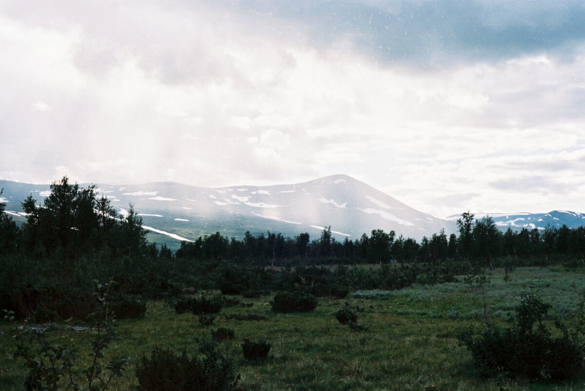 Arjeplog, Norrbotten, Sweden, 2020, Minolta SRT 101